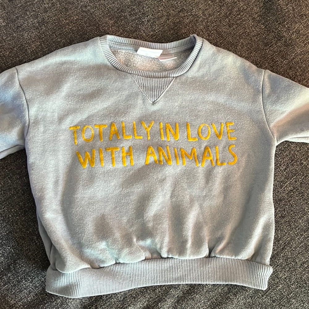 Totally In Love with Animals - Zara blue sweatshirt
